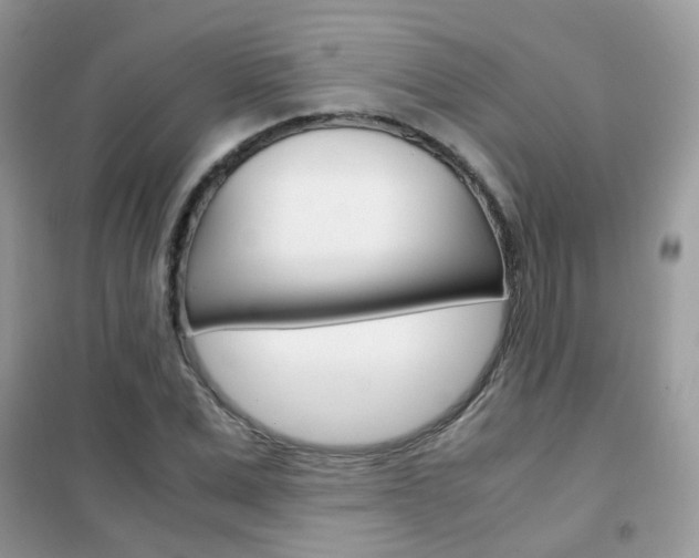 X0000102340975200808010909