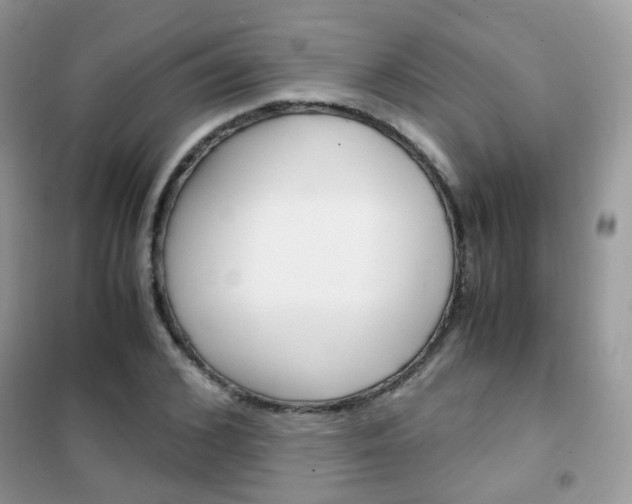 X0000102340976200808010909