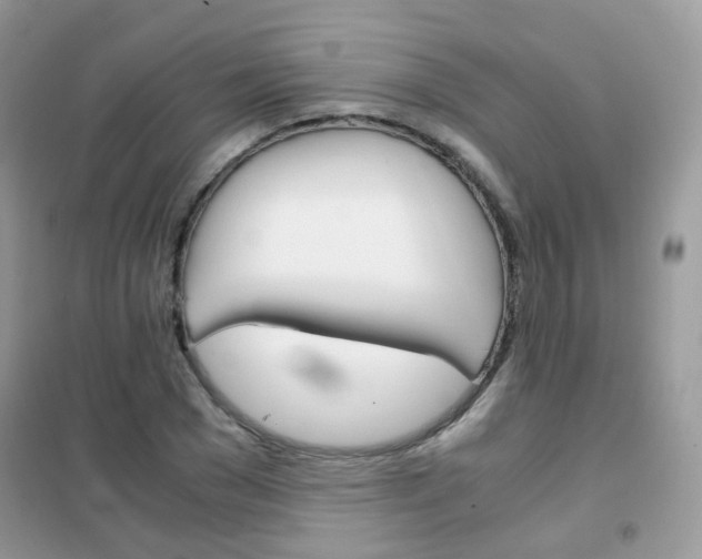 X0000102340977200808010909