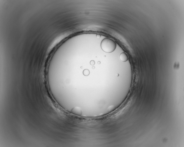 X0000102340978200808010909