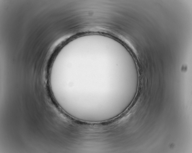 X0000102340979200808010909