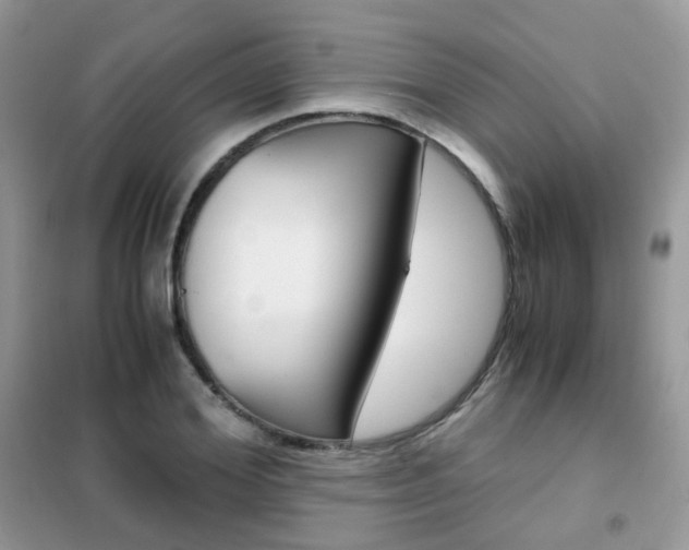 X0000102340980200808010908