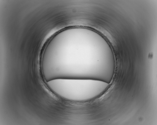 X0000102340982200808010908