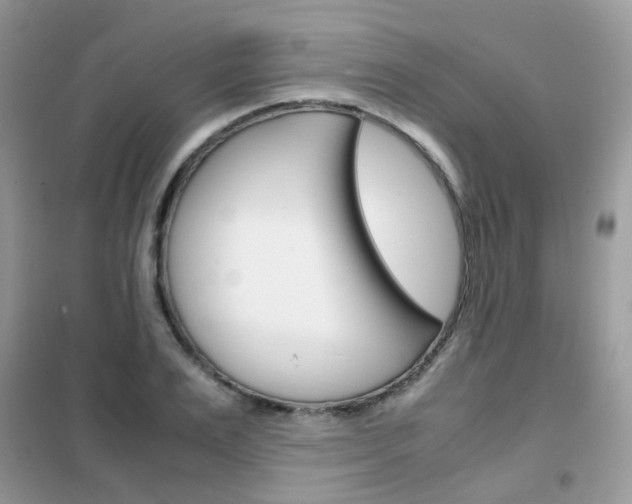 X0000102340983200808010908
