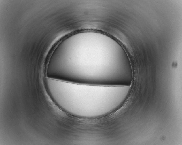 X0000102340984200808010908