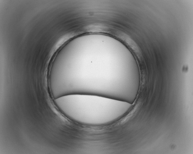 X0000102340986200808010908