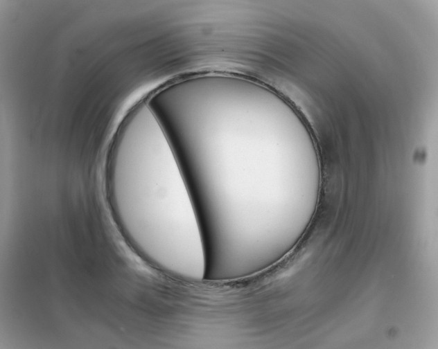 X0000102340987200808010908