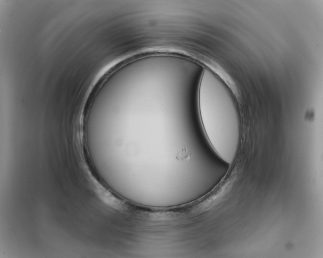 X0000102340988200808010908