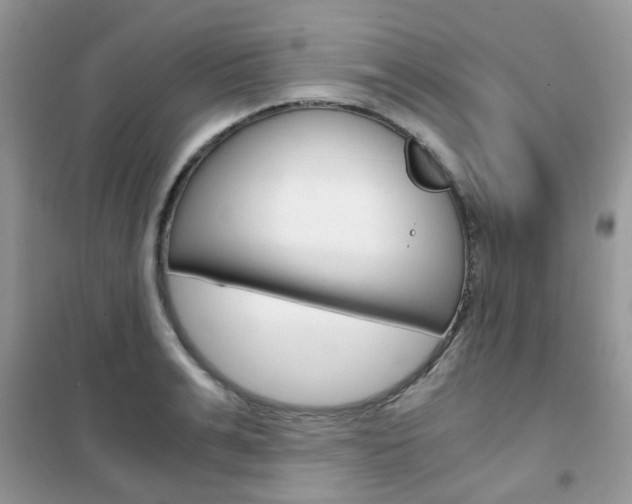 X0000102340991200808010908