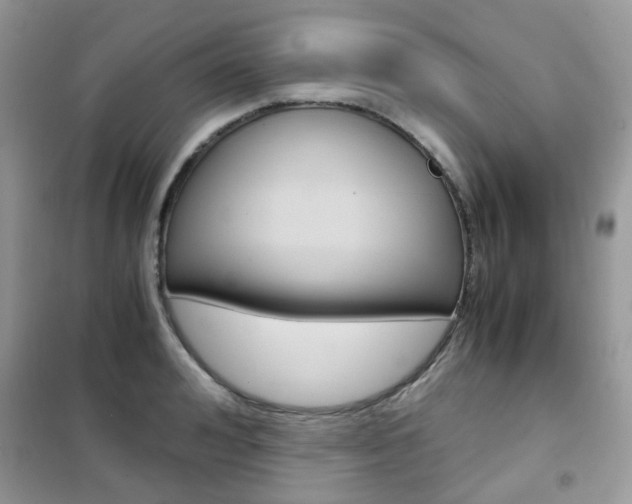 X0000102340992200808010908