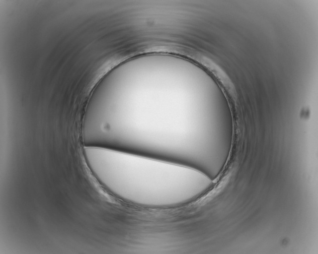 X0000102340993200808010908