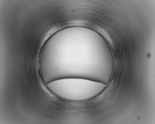X0000102340994200808010908