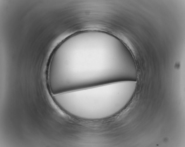 X0000102340995200808010908
