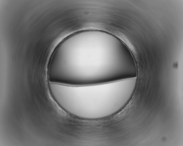 X0000102340996200808010908