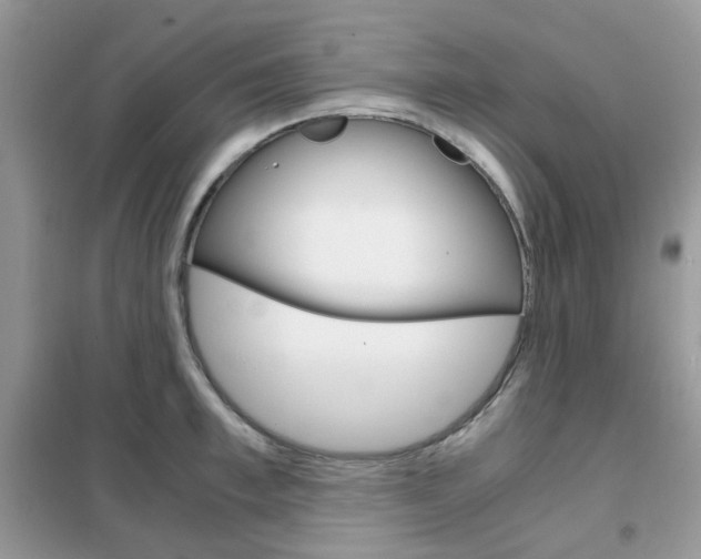 X0000102340997200808010908