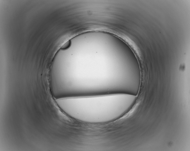 X0000102341001200808010908