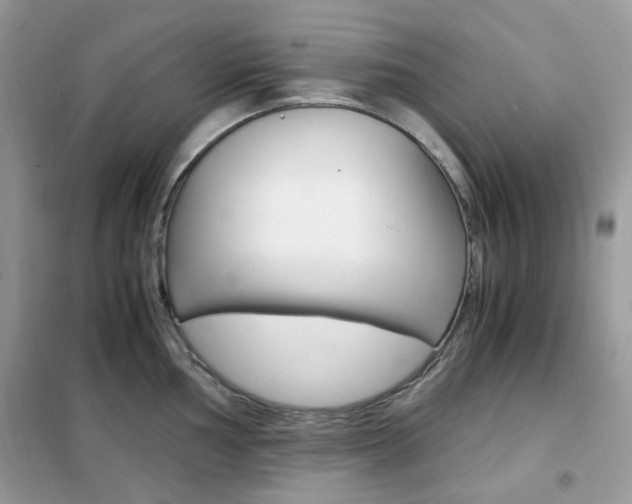X0000102341002200808010908