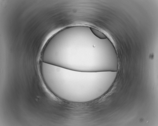 X0000102341003200808010908