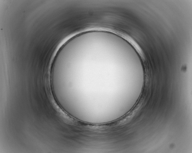 X0000102341004200808010908