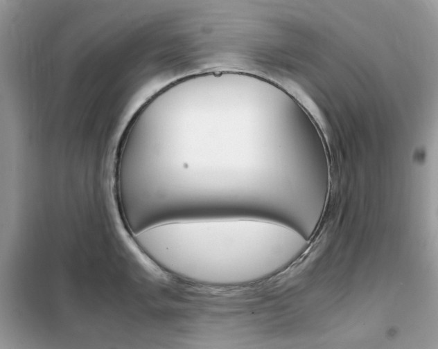 X0000102341005200808010908