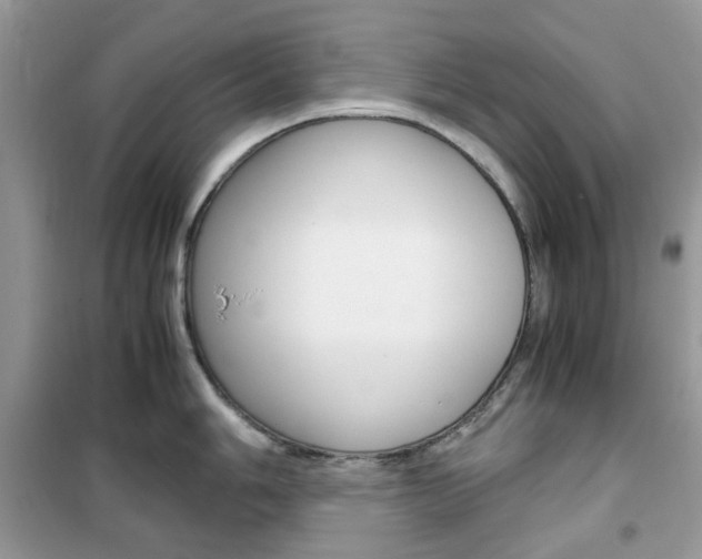 X0000102341006200808010908