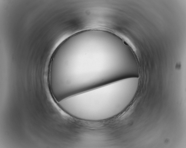 X0000102341007200808010908