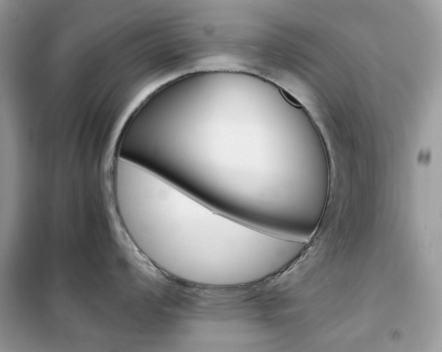 X0000102341008200808010908