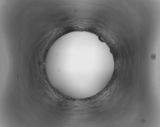 X0000102341009200808010907