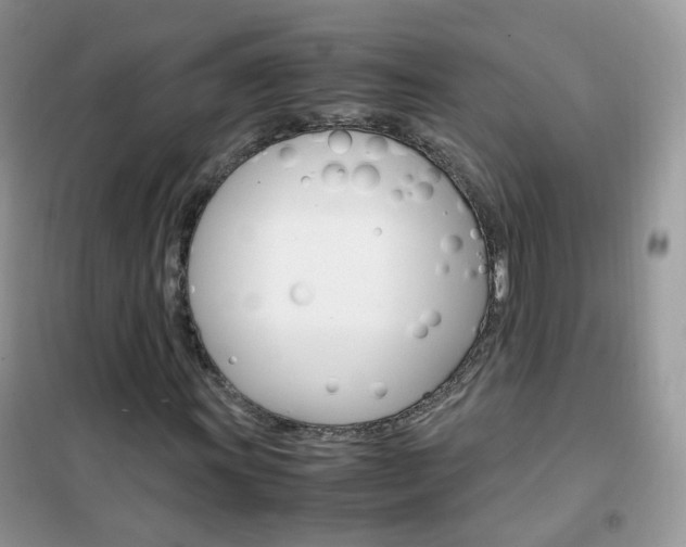 X0000102341011200808010907