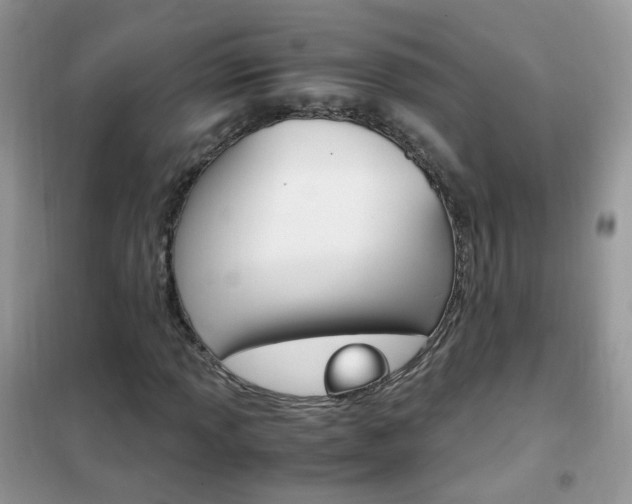 X0000102341013200808010907