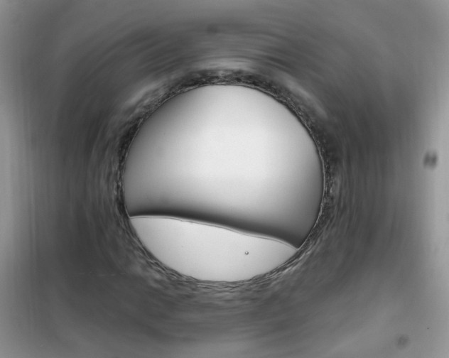 X0000102341014200808010907