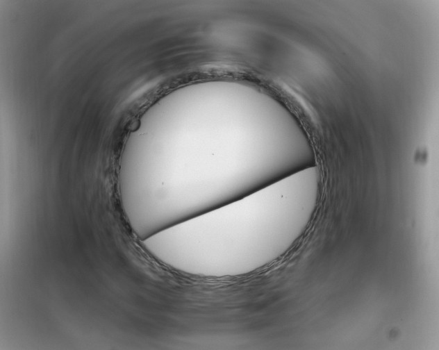 X0000102341015200808010907