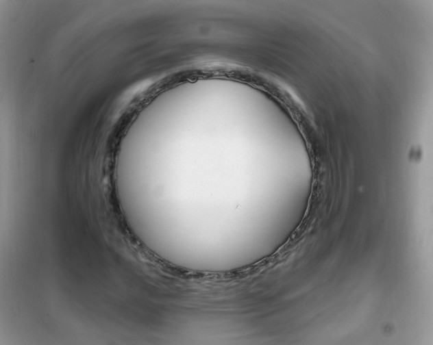 X0000102341016200808010907