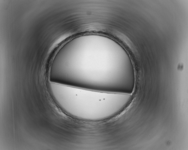 X0000102341018200808010907