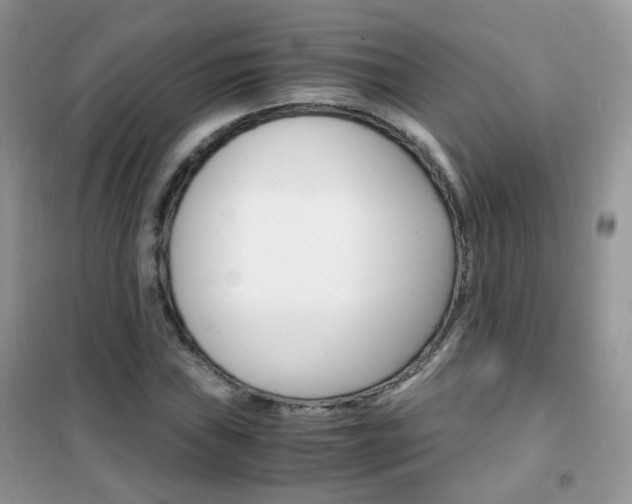 X0000102341019200808010907