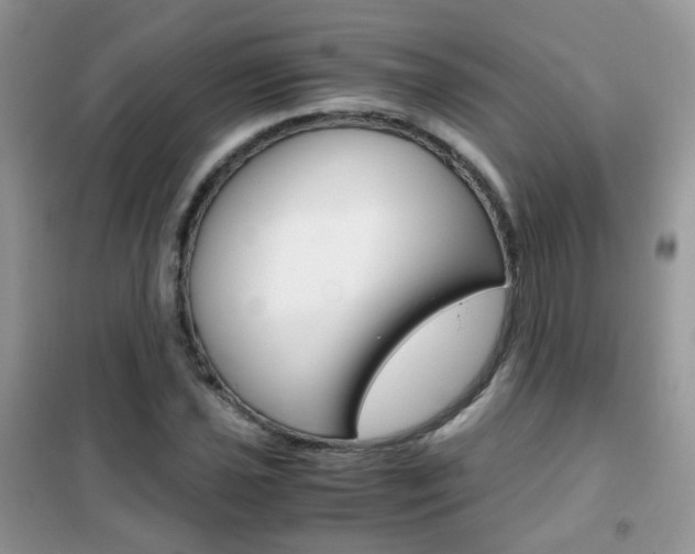 X0000102341021200808010907