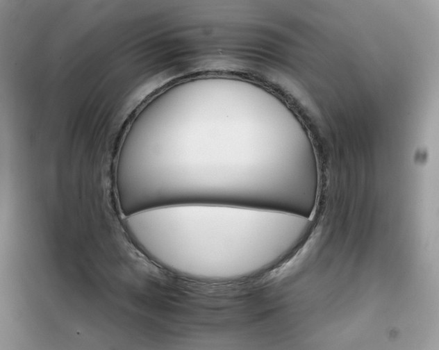 X0000102341025200808010907