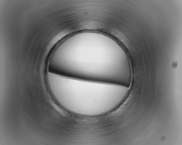 X0000102341026200808010907