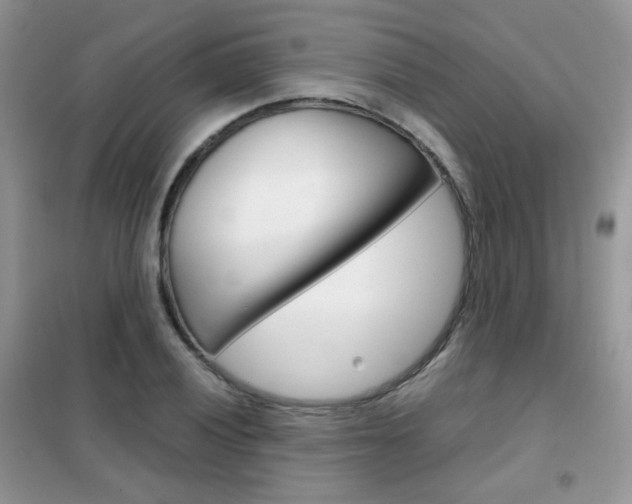 X0000102341028200808010907