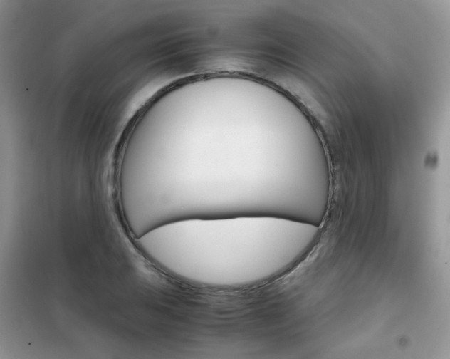 X0000102341031200808010907