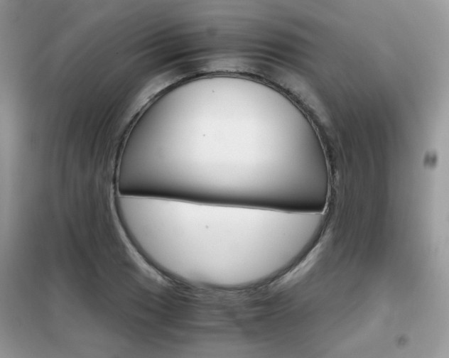 X0000102341033200808010907