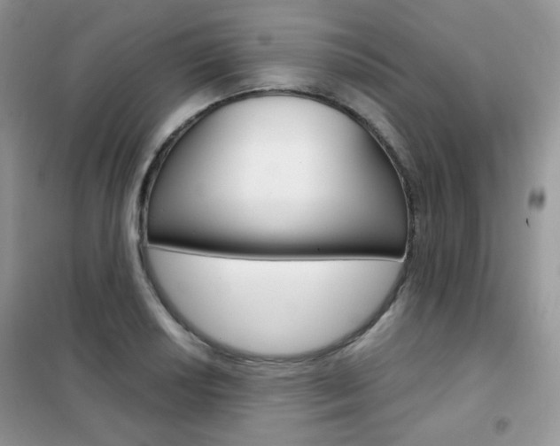 X0000102341034200808010907