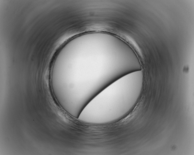 X0000102341035200808010907