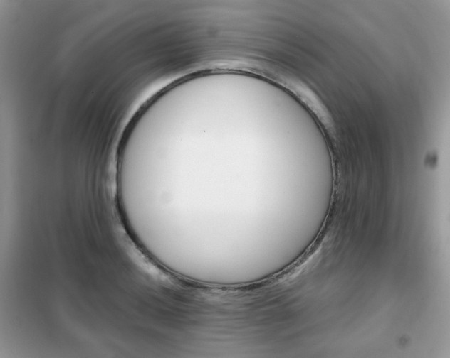 X0000102341036200808010907