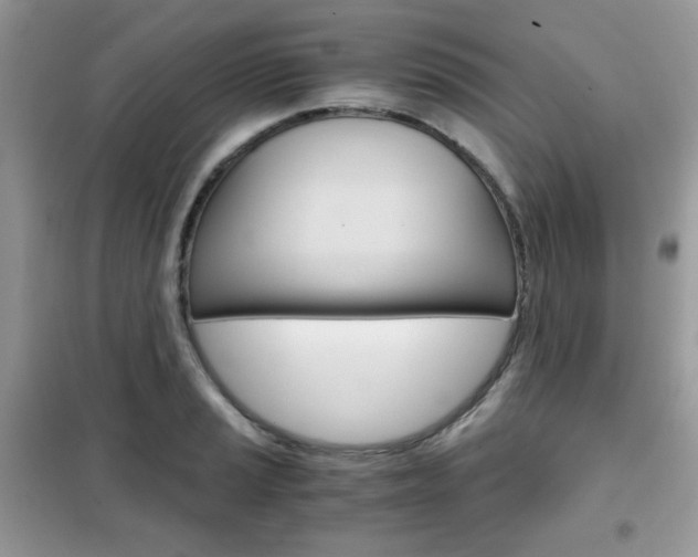 X0000102341037200808010907