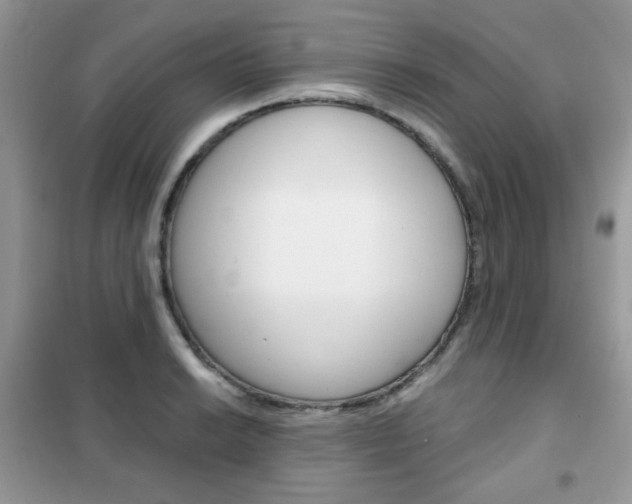X0000102341038200808010908