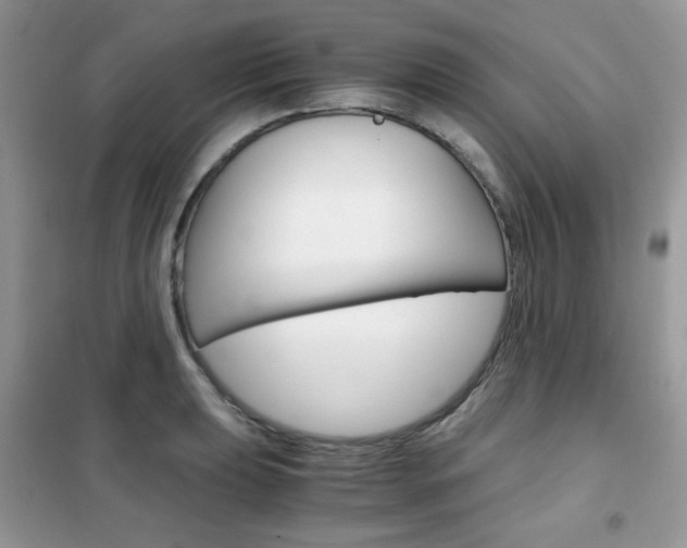 X0000102341039200808010908