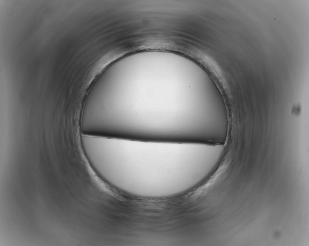 X0000102341041200808010908