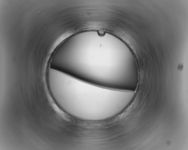 X0000102341042200808010908