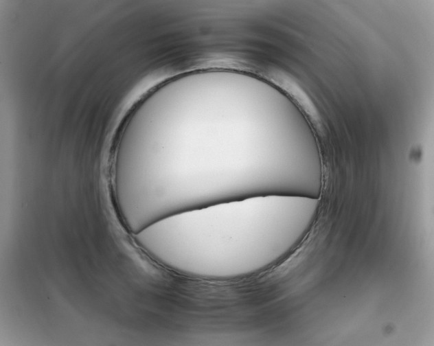 X0000102341043200808010908